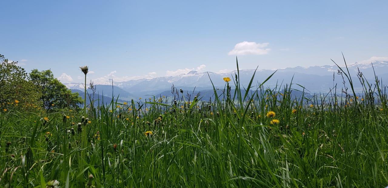 Hubertushof Hotel Garni Oberstaufen Kültér fotó